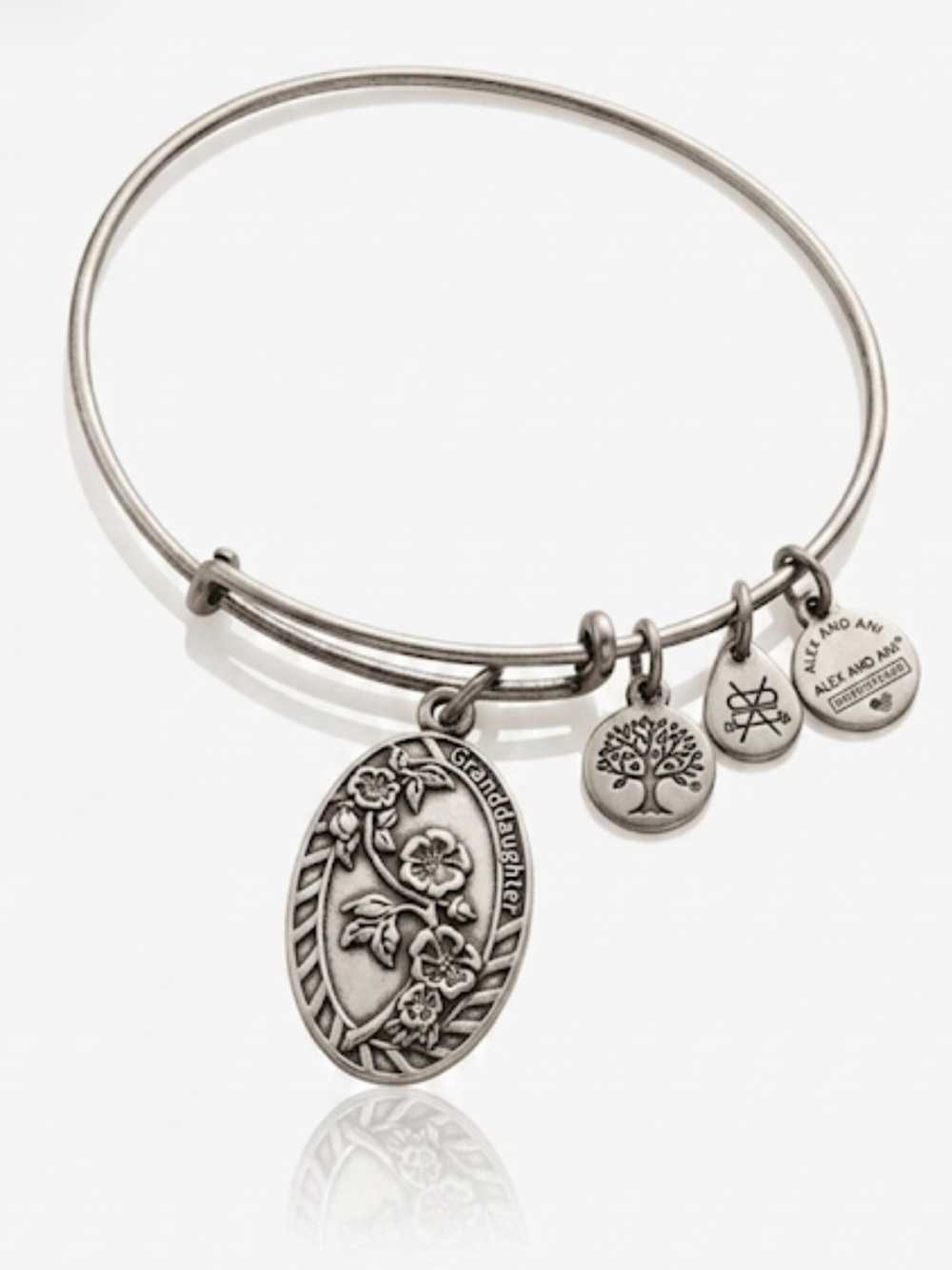 Alex and Ani Granddaughter 2016 Charm Bangle Bracelet Silver Tone Well Loved